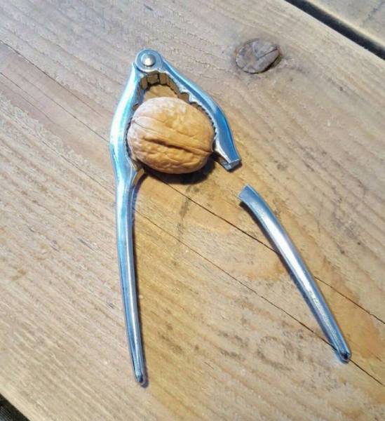 Content Image