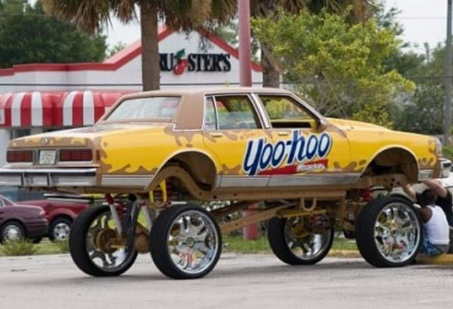 Morning Picdump