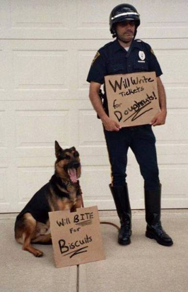 Morning Picdump