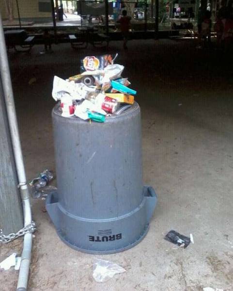 Content Image
