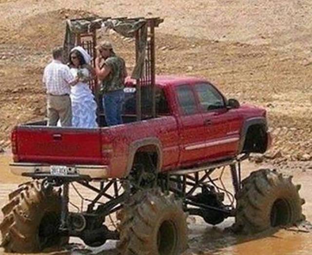 Morning Picdump