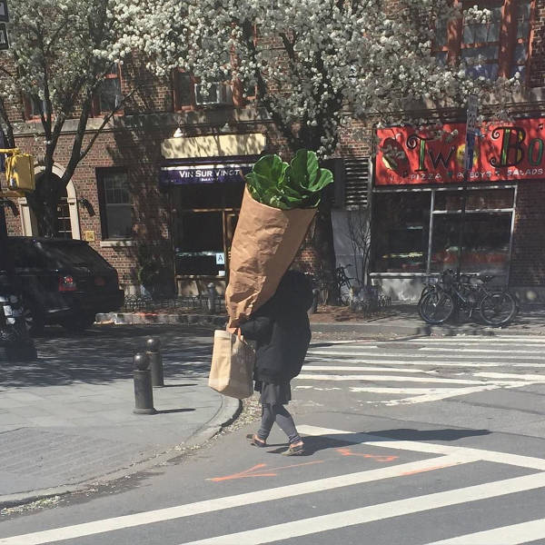 Content Image