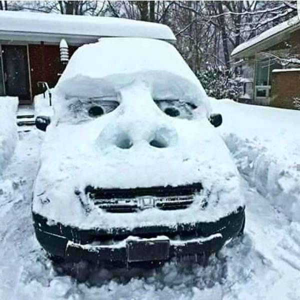 Content Image