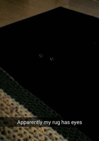 Content Image