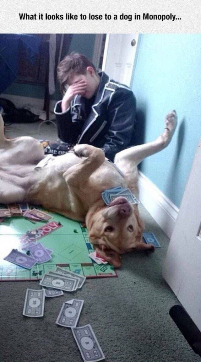 Content Image