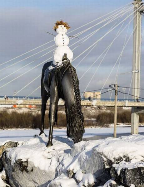 Daily Picdump
