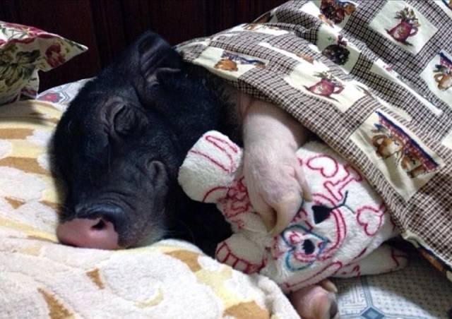 Daily Picdump
