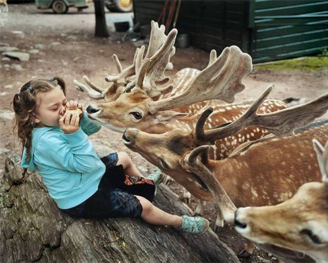 Daily Picdump
