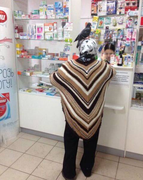 Daily Picdump