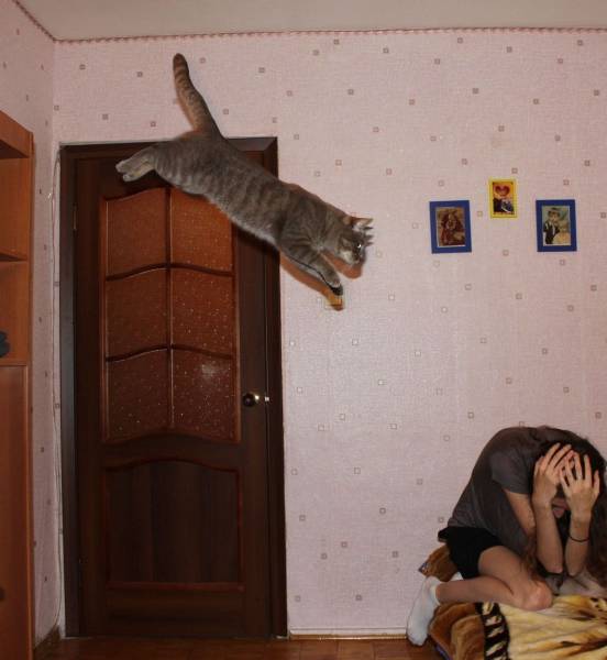 Daily Picdump