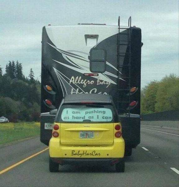 Content Image