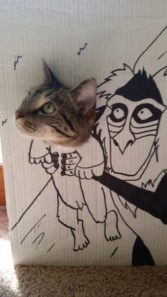 Morning Picdump