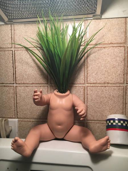 Content Image
