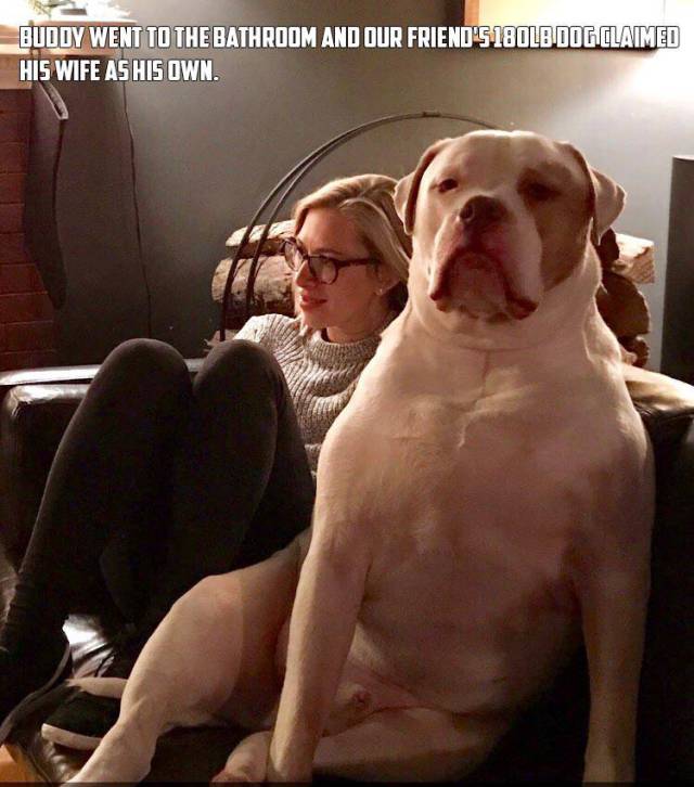 Morning Picdump