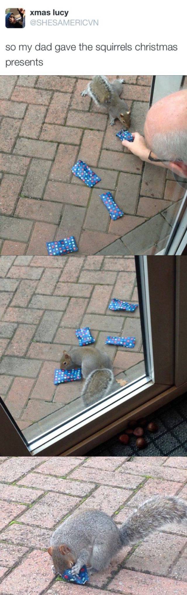Content Image