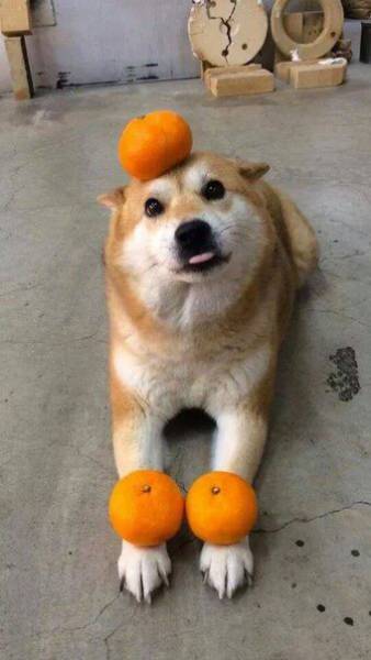 Morning Picdump