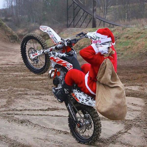 Morning Picdump