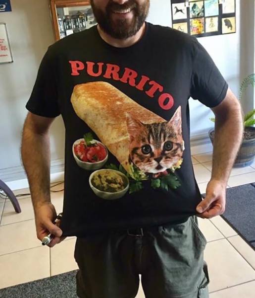 Content Image