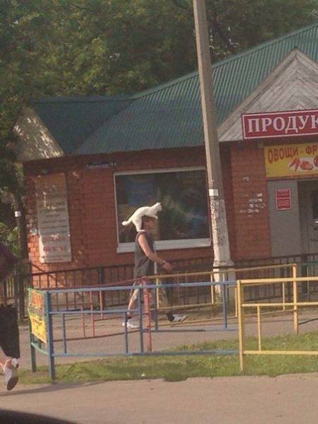 Daily Picdump