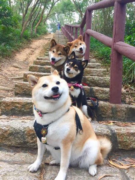 Content Image