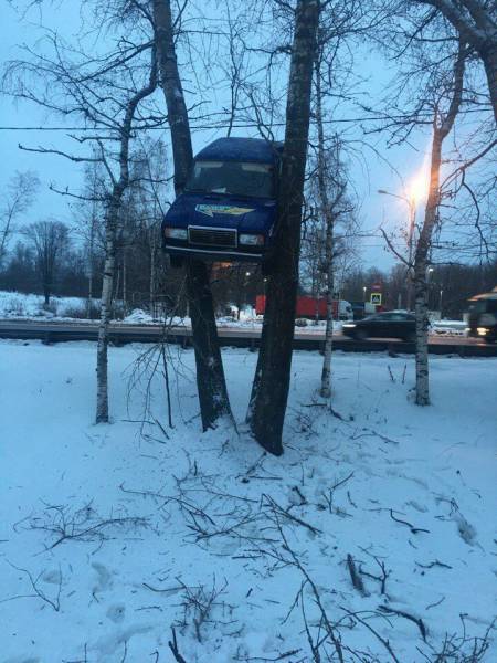 Morning Picdump