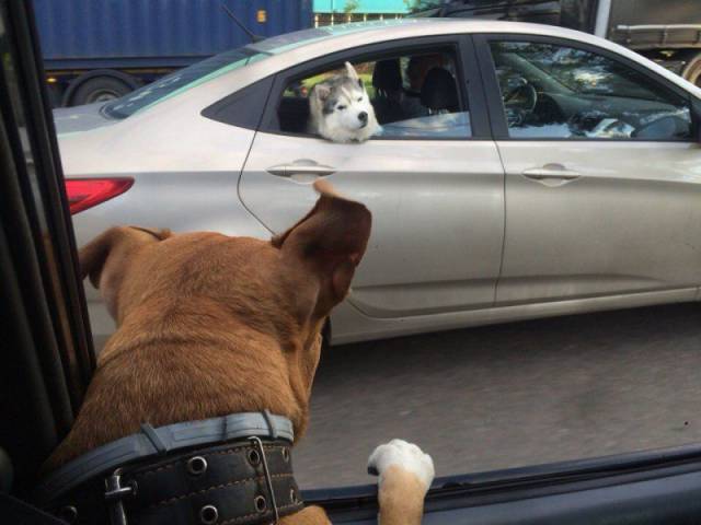 Morning Picdump