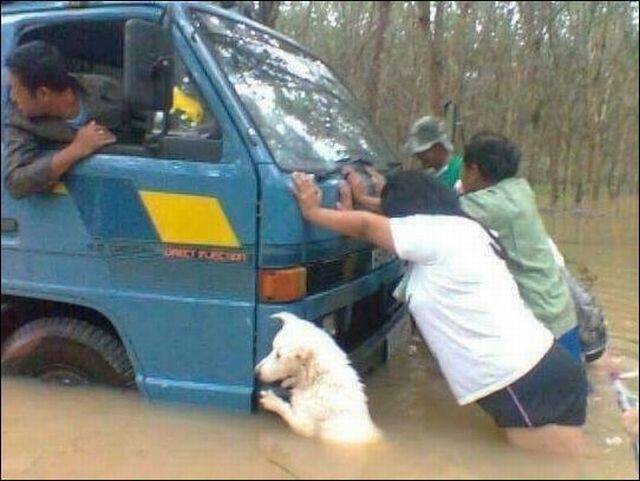 Morning Picdump