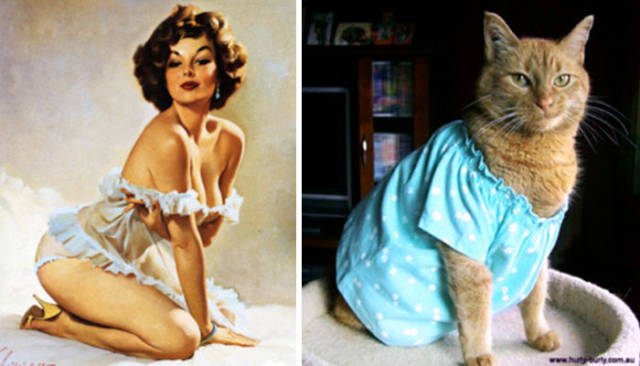 So That’s Why Cats Are So Popular! Pinup Girls Have Got A Tough Competitor