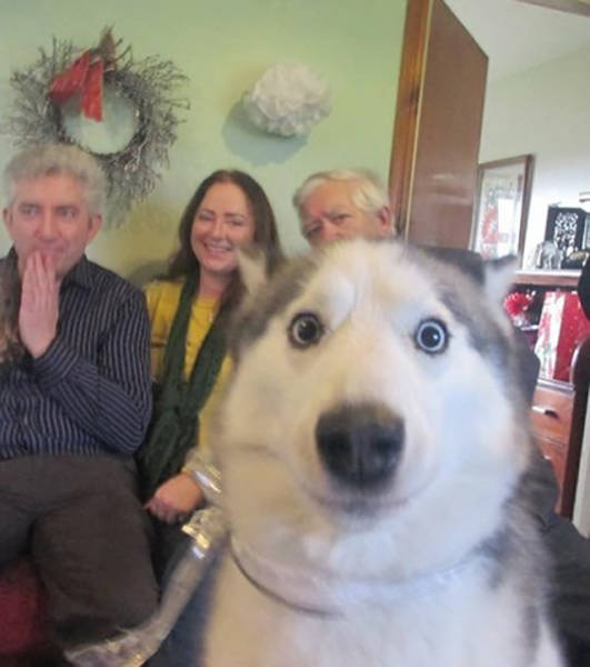 Morning Picdump