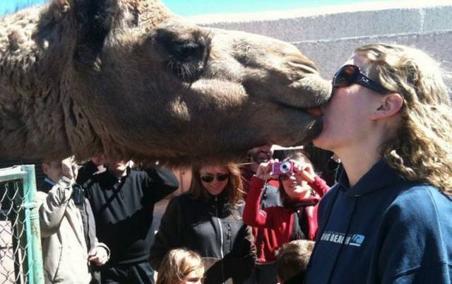 Daily Picdump