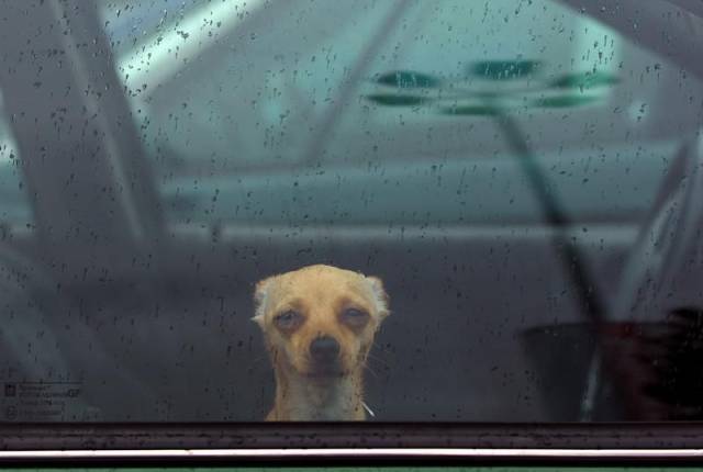 Daily Picdump