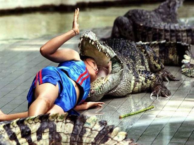 Daily Picdump
