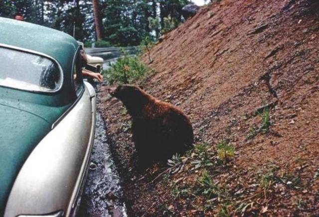 Daily Picdump