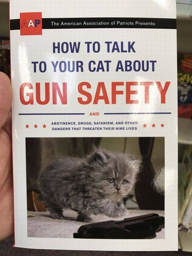 Content Image