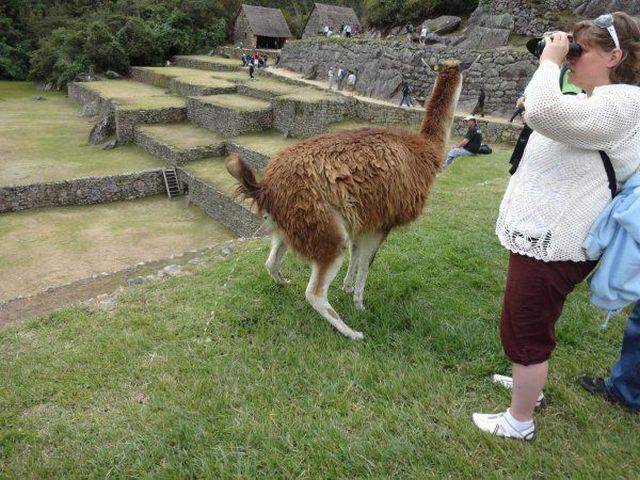 Daily Picdump
