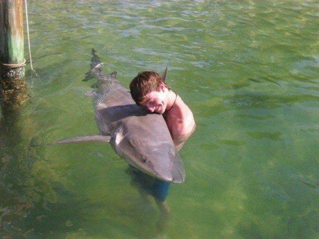 Daily Picdump