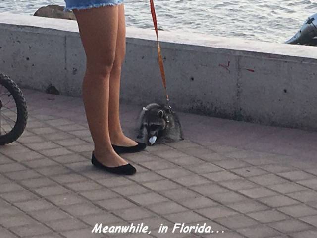 Daily Picdump