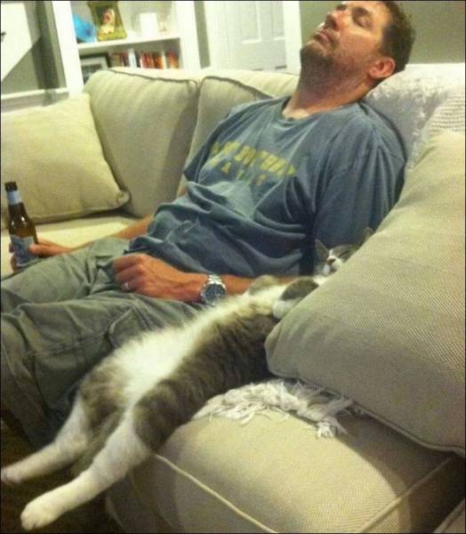 Daily Picdump