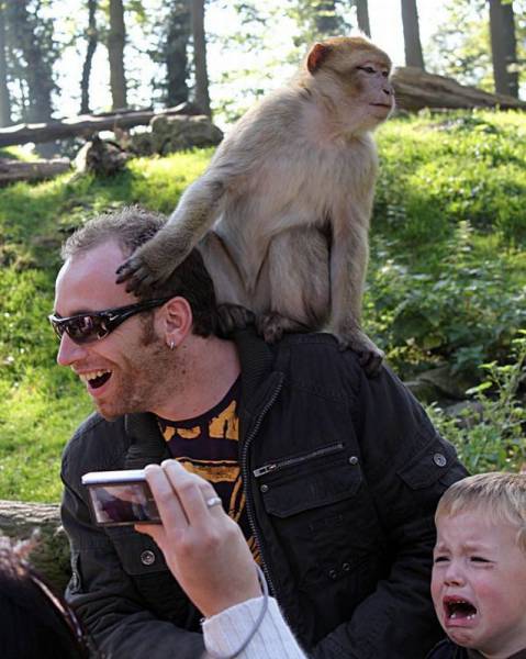 Daily Picdump