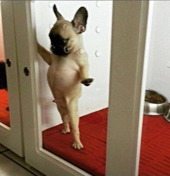 Morning Picdump