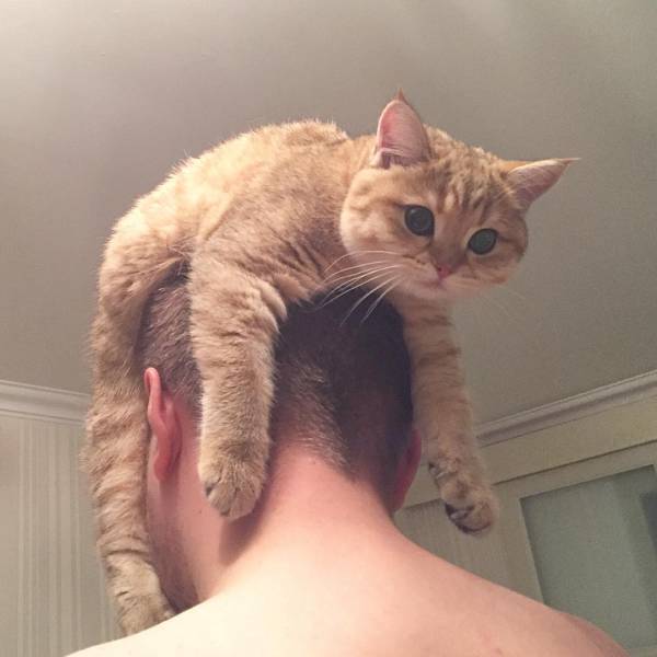 Morning Picdump