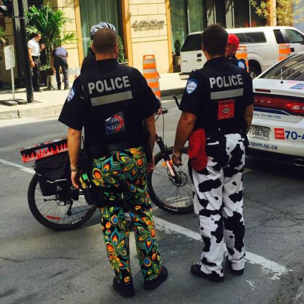 Morning Picdump
