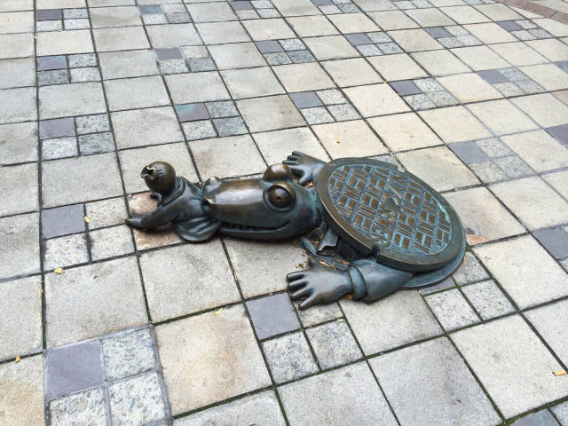 Content Image