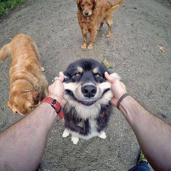 Content Image