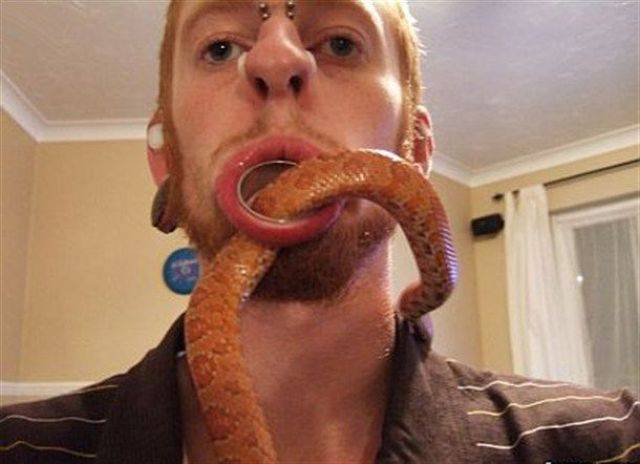 Content Image