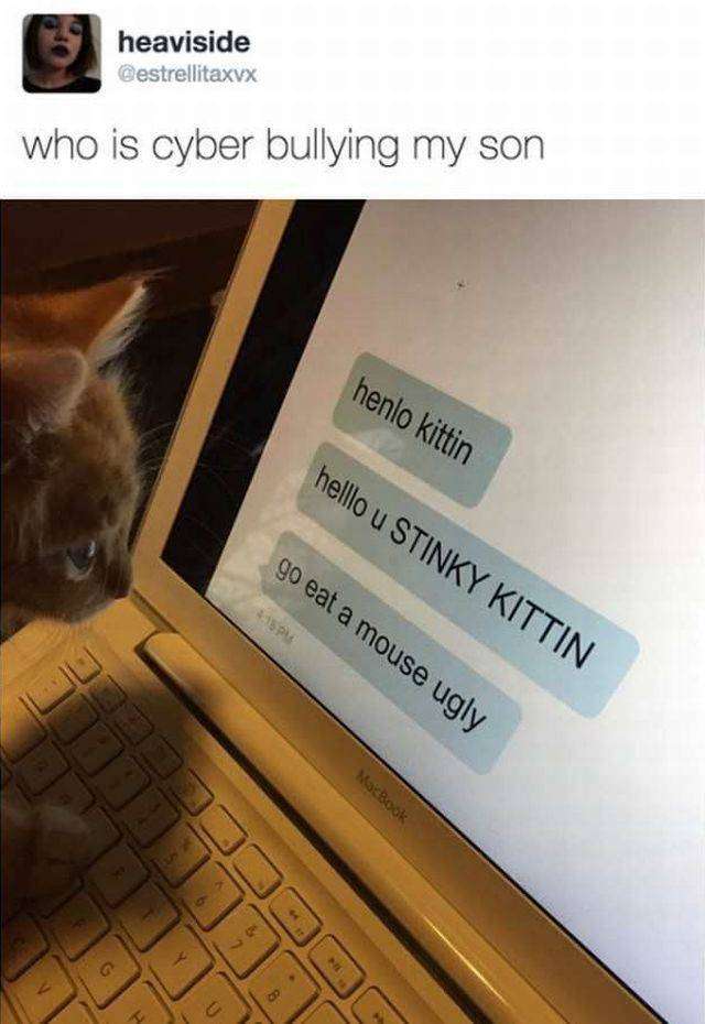 Content Image