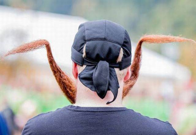 Morning Picdump