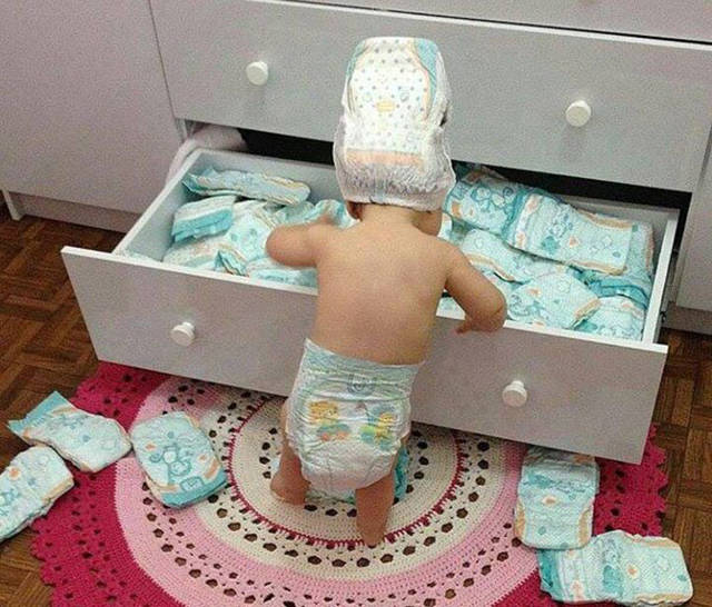 Morning Picdump