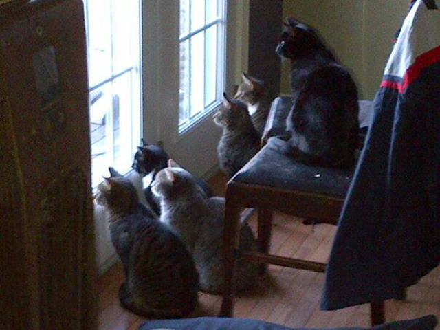 Morning Picdump
