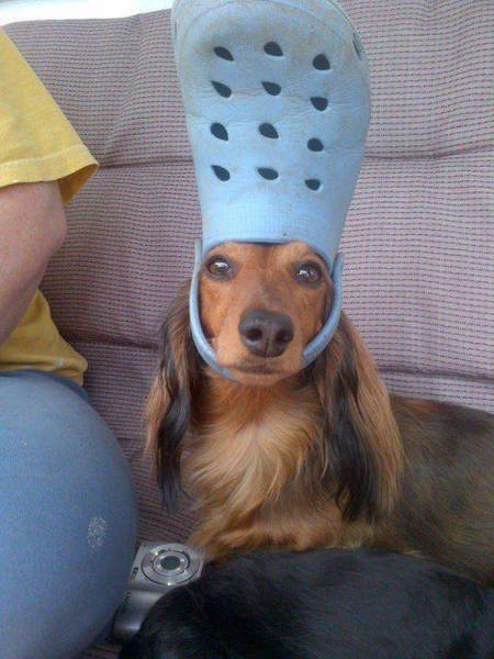 Content Image